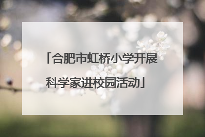 合肥市虹桥小学开展科学家进校园活动