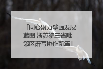 同心聚力擘画发展蓝图 浙苏皖三省毗邻区谱写协作新篇