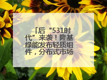 后“531时代”来袭！隆基绿能发布轻质组件，分布式市场后续会怎么走