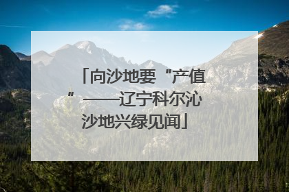 向沙地要“产值”——辽宁科尔沁沙地兴绿见闻