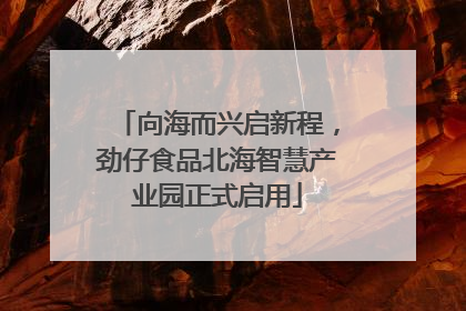 向海而兴启新程，劲仔食品北海智慧产业园正式启用