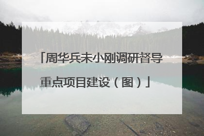 周华兵未小刚调研督导重点项目建设（图）