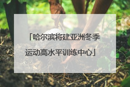 哈尔滨将建亚洲冬季运动高水平训练中心