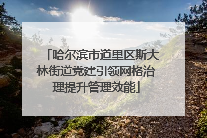 哈尔滨市道里区斯大林街道党建引领网格治理提升管理效能