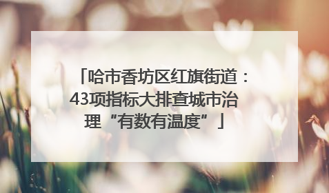 哈市香坊区红旗街道：43项指标大排查城市治理“有数有温度”
