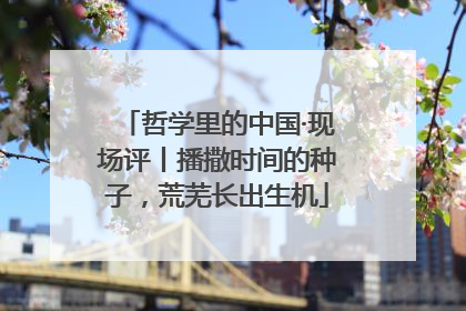 哲学里的中国·现场评丨播撒时间的种子，荒芜长出生机