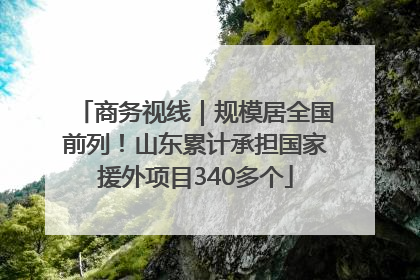 商务视线｜规模居全国前列！山东累计承担国家援外项目340多个