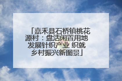 嘉禾县石桥镇桃花源村：盘活闲置用地发展针织产业 织就乡村振兴新图景