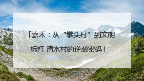 嘉禾：从“拳头村”到文明标杆 清水村的逆袭密码