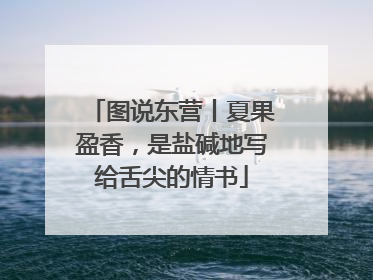 图说东营丨夏果盈香，是盐碱地写给舌尖的情书
