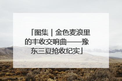 图集｜金色麦浪里的丰收交响曲——豫东三夏抢收纪实
