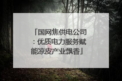 国网焦供电公司：优质电力服务赋能凉皮产业飘香