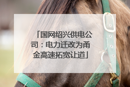 国网绍兴供电公司：电力迁改为甬金高速拓宽让道