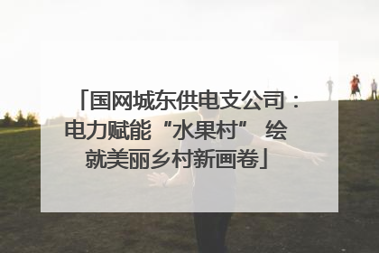 国网城东供电支公司：电力赋能“水果村” 绘就美丽乡村新画卷