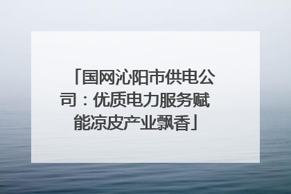 国网沁阳市供电公司：优质电力服务赋能凉皮产业飘香