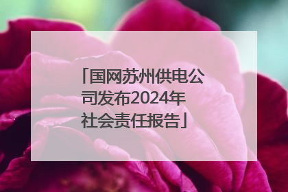 国网苏州供电公司发布2024年社会责任报告