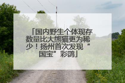国内野生个体现存数量比大熊猫更为稀少！扬州首次发现“国宝”彩鹮