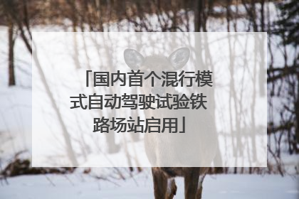 国内首个混行模式自动驾驶试验铁路场站启用
