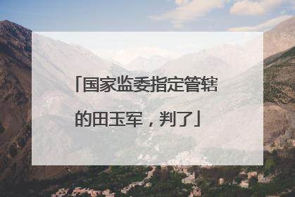 国家监委指定管辖的田玉军，判了