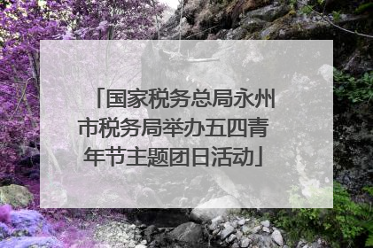 国家税务总局永州市税务局举办五四青年节主题团日活动