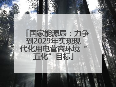 国家能源局：力争到2029年实现现代化用电营商环境“五化”目标