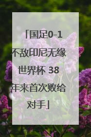 国足0-1不敌印尼无缘世界杯 38年来首次败给对手