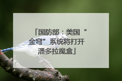 国防部：美国“金穹”系统将打开潘多拉魔盒