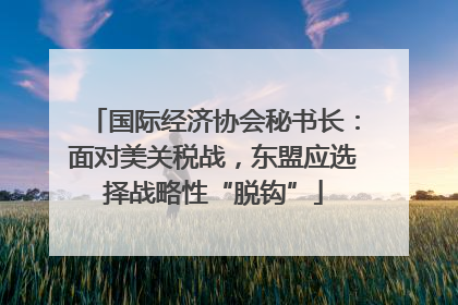 国际经济协会秘书长：面对美关税战，东盟应选择战略性“脱钩”