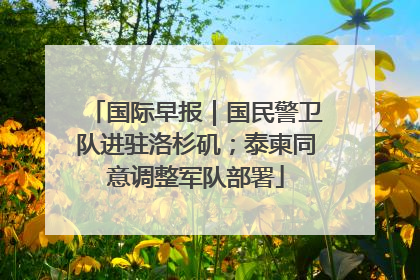 国际早报｜国民警卫队进驻洛杉矶；泰柬同意调整军队部署