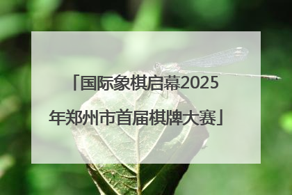 国际象棋启幕2025年郑州市首届棋牌大赛