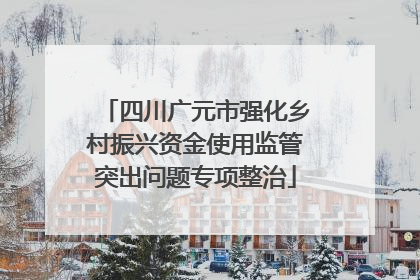 四川广元市强化乡村振兴资金使用监管突出问题专项整治