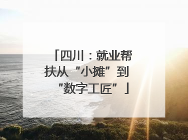 四川：就业帮扶从“小摊”到“数字工匠”