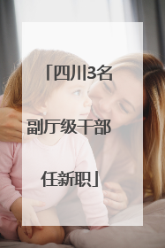 四川3名副厅级干部任新职
