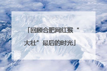 回顾合肥网红猴“大壮”最后的时光
