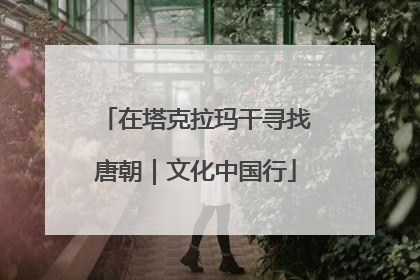 在塔克拉玛干寻找唐朝｜文化中国行