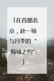 在首都北京，赴一场与月季的“倾城之约”