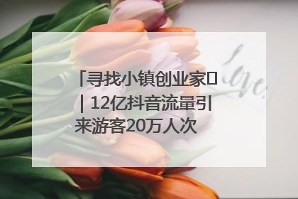 寻找小镇创业家㊱｜12亿抖音流量引来游客20万人次 “襄阳许三多”爆改家乡打造网红村