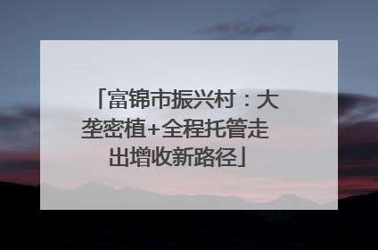 富锦市振兴村：大垄密植+全程托管走出增收新路径