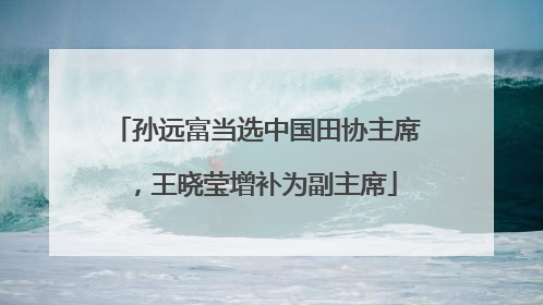 孙远富当选中国田协主席，王晓莹增补为副主席