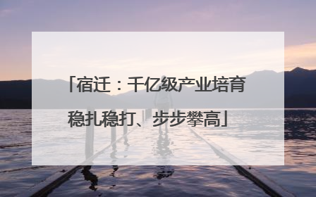 宿迁：千亿级产业培育稳扎稳打、步步攀高