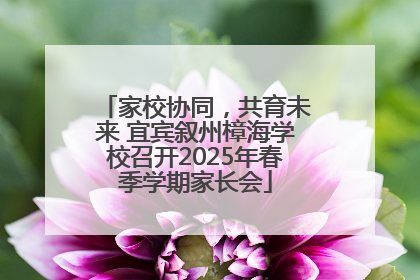 家校协同，共育未来 宜宾叙州樟海学校召开2025年春季学期家长会