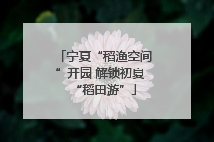 宁夏“稻渔空间”开园 解锁初夏“稻田游”