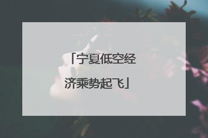 宁夏低空经济乘势起飞