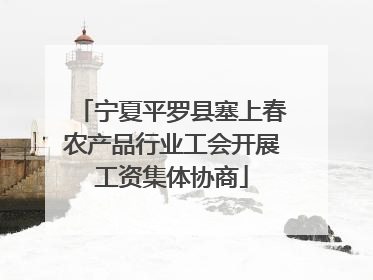 宁夏平罗县塞上春农产品行业工会开展工资集体协商