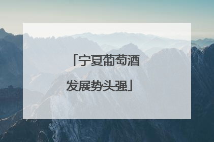 宁夏葡萄酒发展势头强
