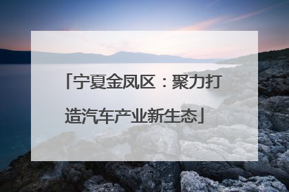 宁夏金凤区：聚力打造汽车产业新生态