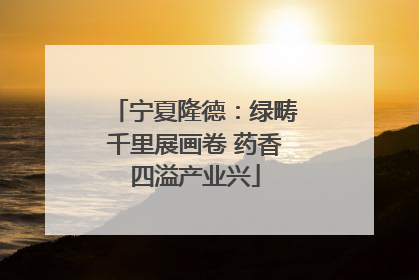 宁夏隆德：绿畴千里展画卷 药香四溢产业兴