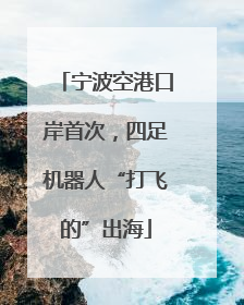 宁波空港口岸首次，四足机器人“打飞的”出海