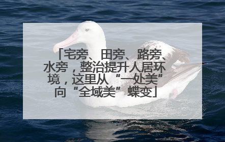 宅旁、田旁、路旁、水旁，整治提升人居环境，这里从“一处美”向“全域美”蝶变