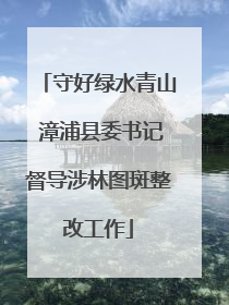 守好绿水青山 漳浦县委书记督导涉林图斑整改工作